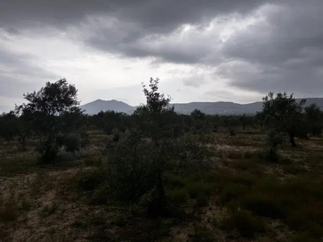 Terreno en venta en Biar, Alicante photo 3