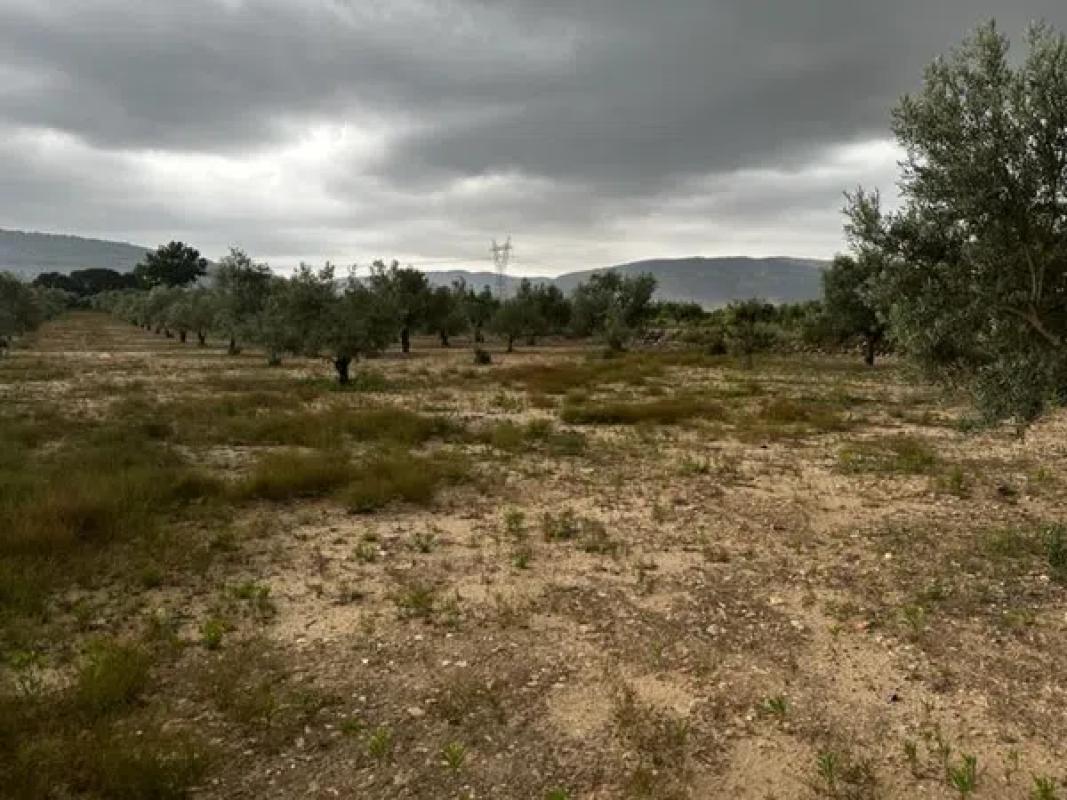 Terreno en venta en Biar, Alicante photo 5