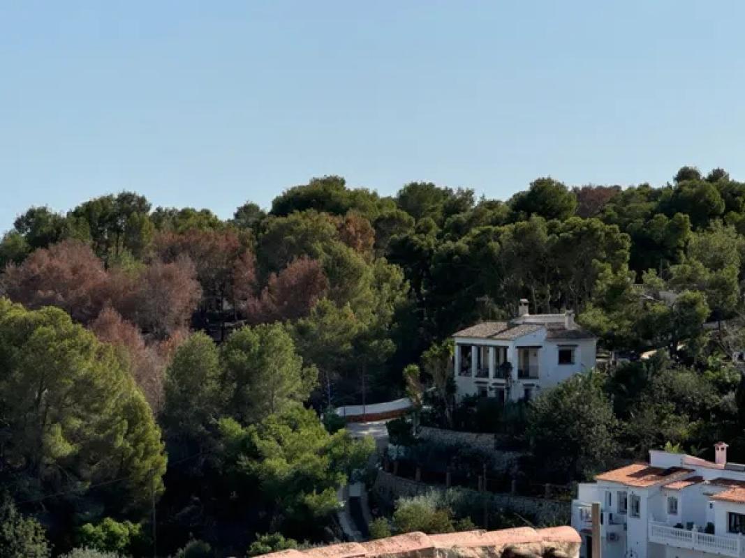 Terreno en venta en Benissa, Alicante photo 4