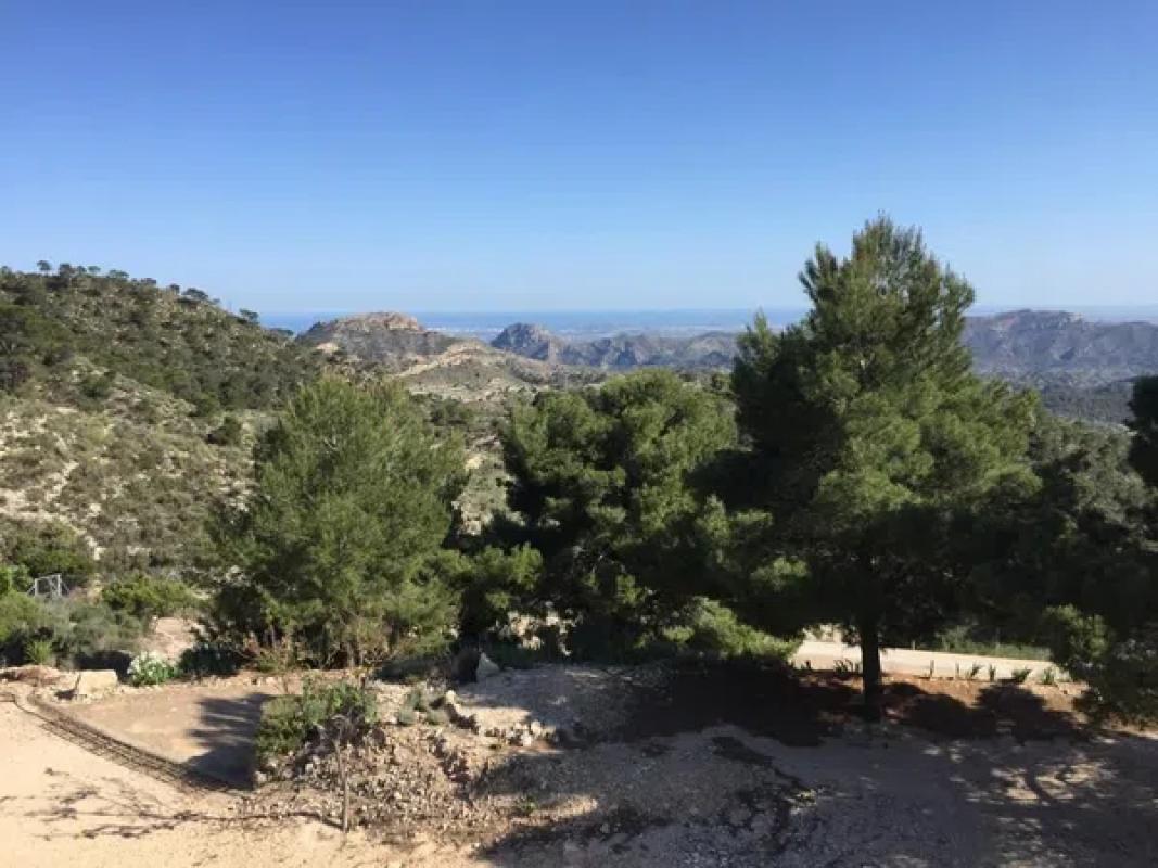 Terreno en venta en Jijona / Xixona, Alicante photo 4
