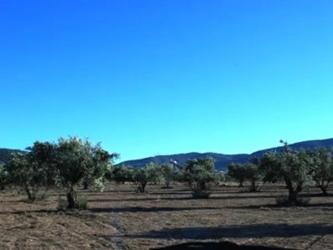 Terreno en venta en Biar, Alicante photo 1