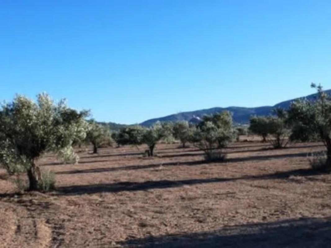 Terreno en venta en Biar, Alicante photo 2