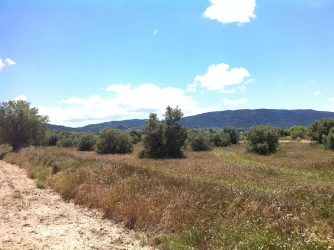 Terreno en venta en Biar, Alicante photo 5