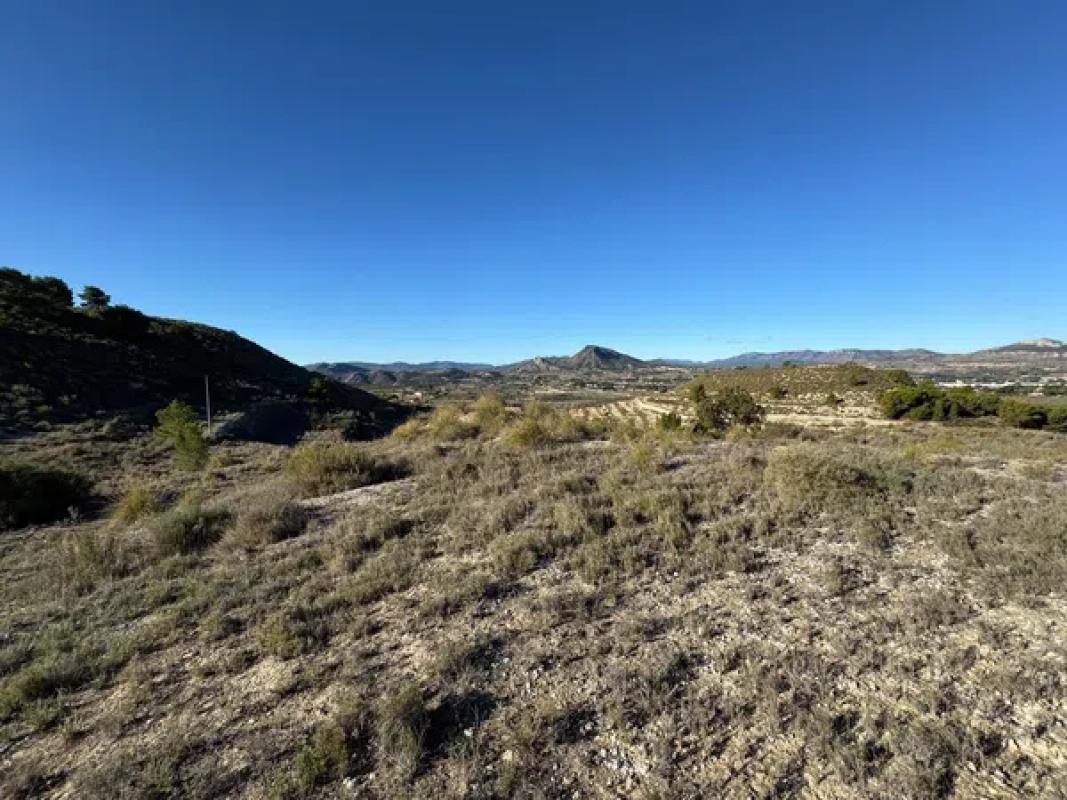 Terreno en venta en Petrer, Alicante photo 4