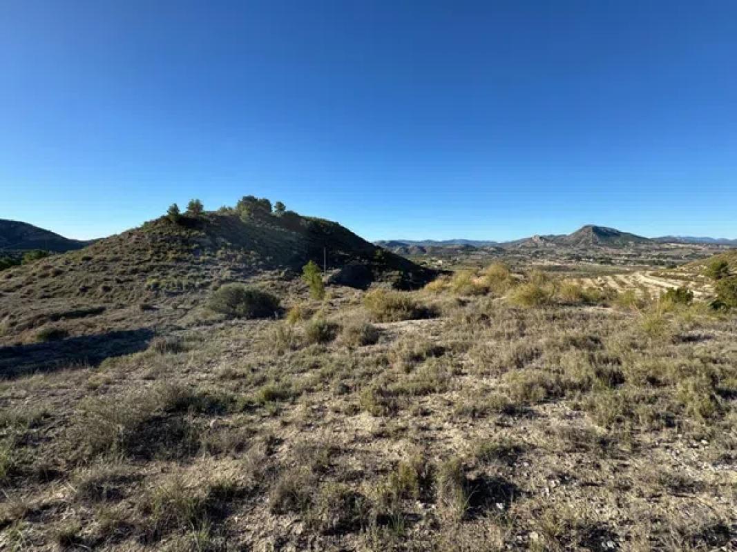 Terreno en venta en Petrer, Alicante photo 5