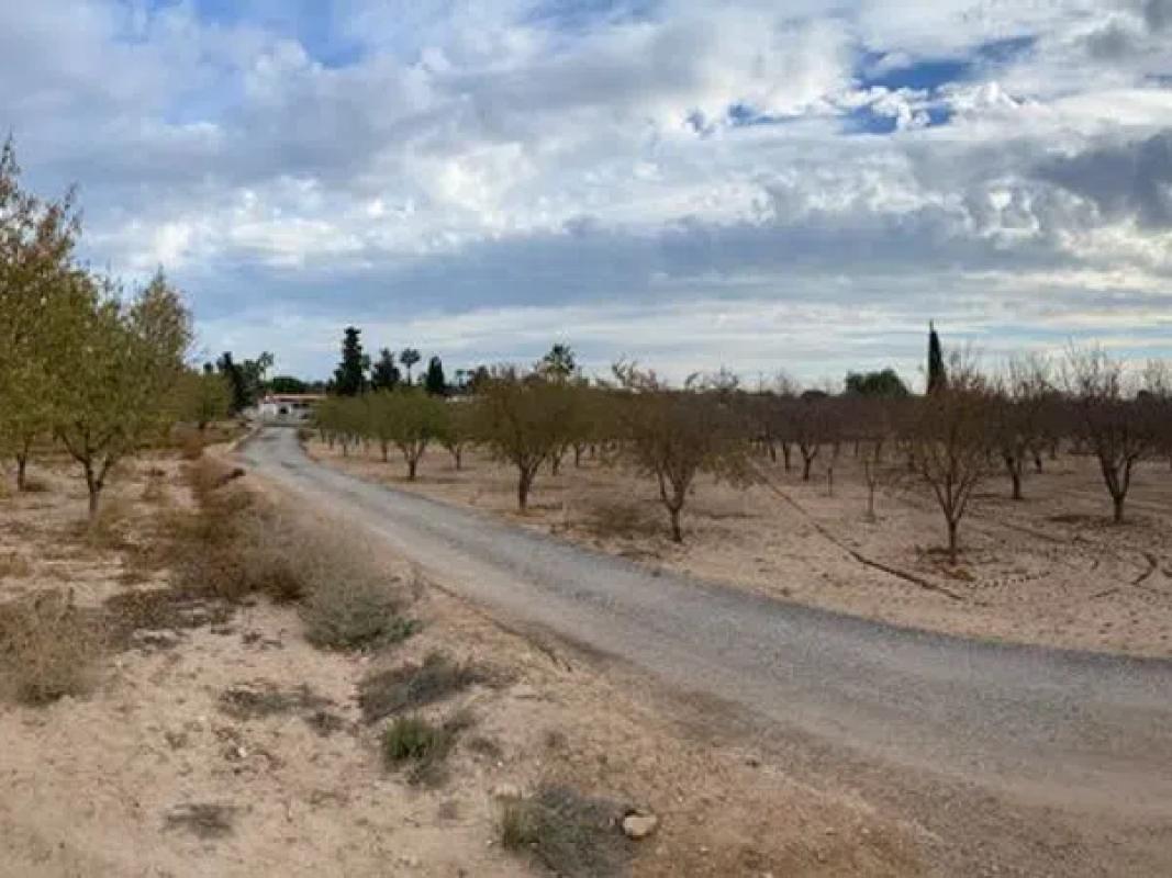 Terreno en venta en Alicante / Alacant, Alicante photo 5