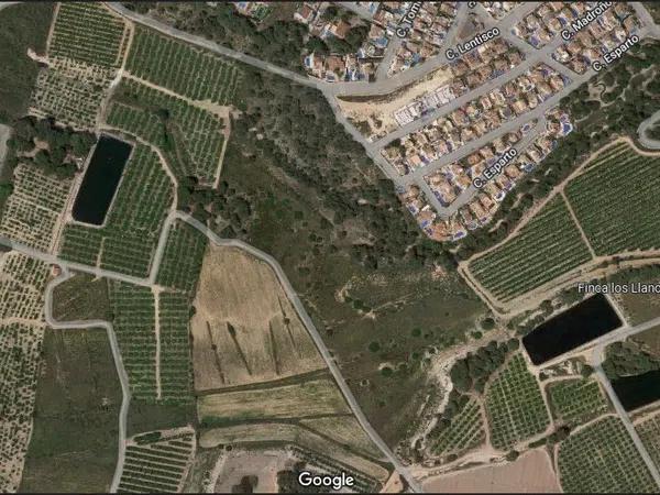Terreno en Pinar de Campoverde s/n photo 1