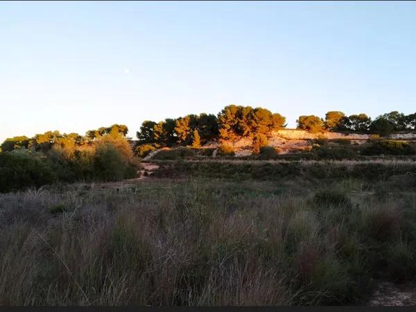 Terreno en Pinar de Campoverde s/n thumbnail 1