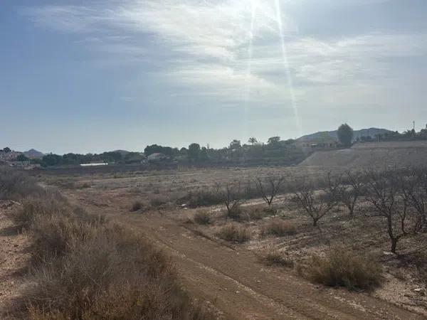Terreno en camino de la Pedrera, 1 photo 2