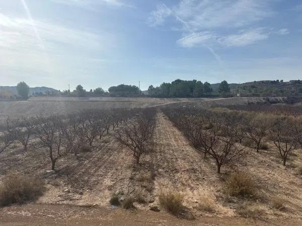 Terreno en camino de la Pedrera, 1 photo 3