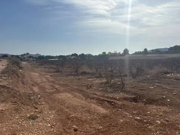 Terreno en camino de la Pedrera, 1 photo 4