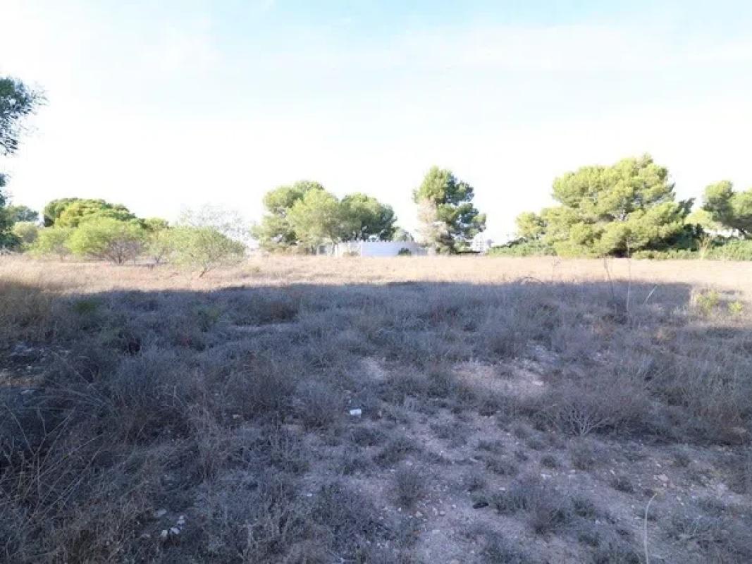 Land for sale in Orihuela, Alicante photo 1