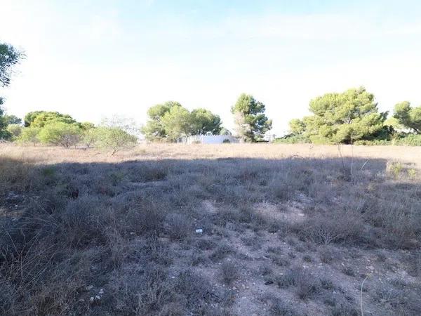 Terreno en Barrio Lomas de Cabo Roig-Los Dolses photo 1