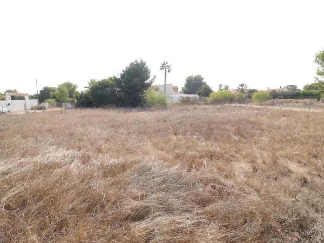Land for sale in Orihuela, Alicante photo 2