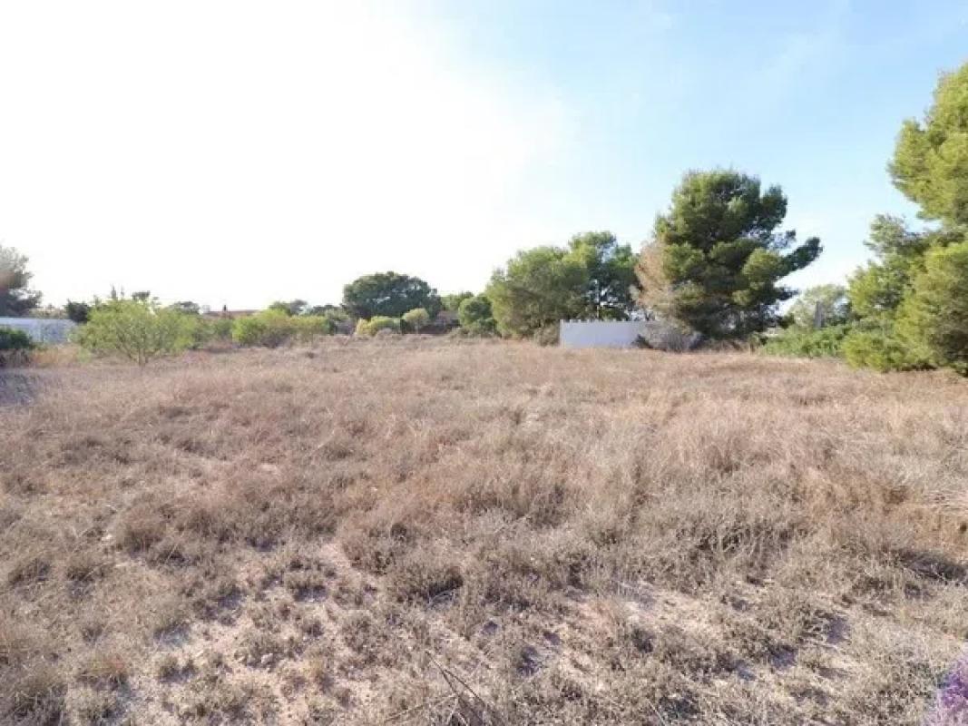 Land for sale in Orihuela, Alicante photo 5
