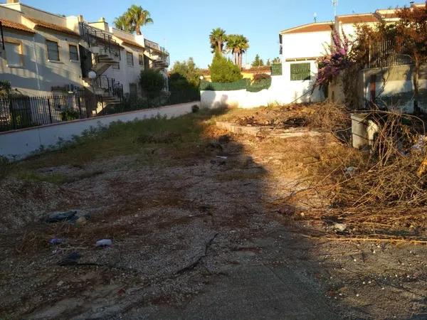Terreno en Algorfa photo 1