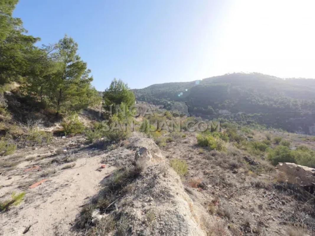 Terreno en venta en Torremanzanas, Alicante photo 2