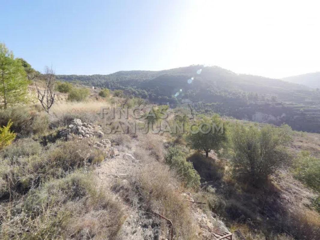 Terreno en venta en Torremanzanas, Alicante photo 4