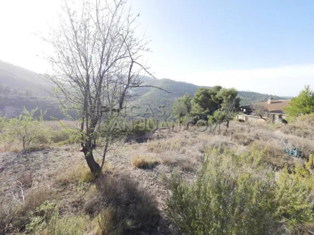 Terreno en venta en Torremanzanas, Alicante photo 5