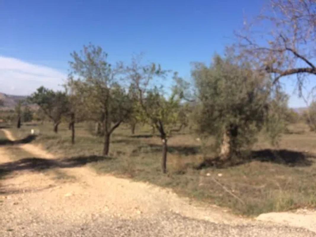 Terreno en venta en Cañada, Alicante photo 4
