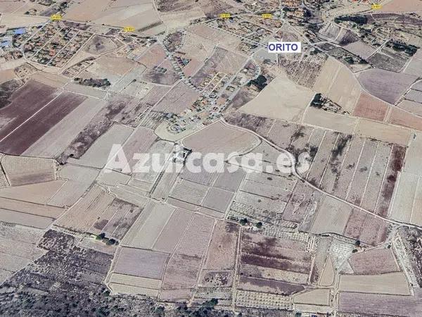 Terreno en Monforte del Cid photo 2