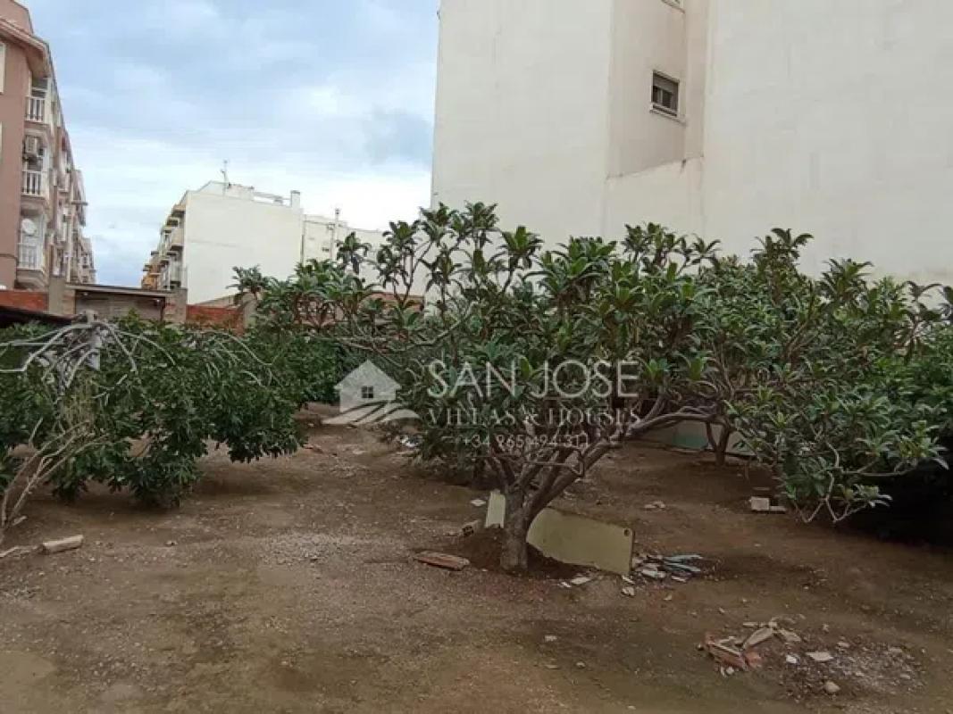 Land for sale in Elche / Elx, Alicante photo 3