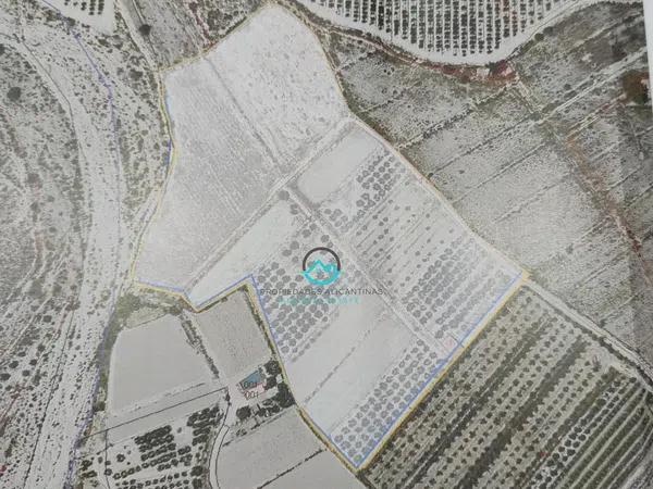 Terreno en Agost photo 2
