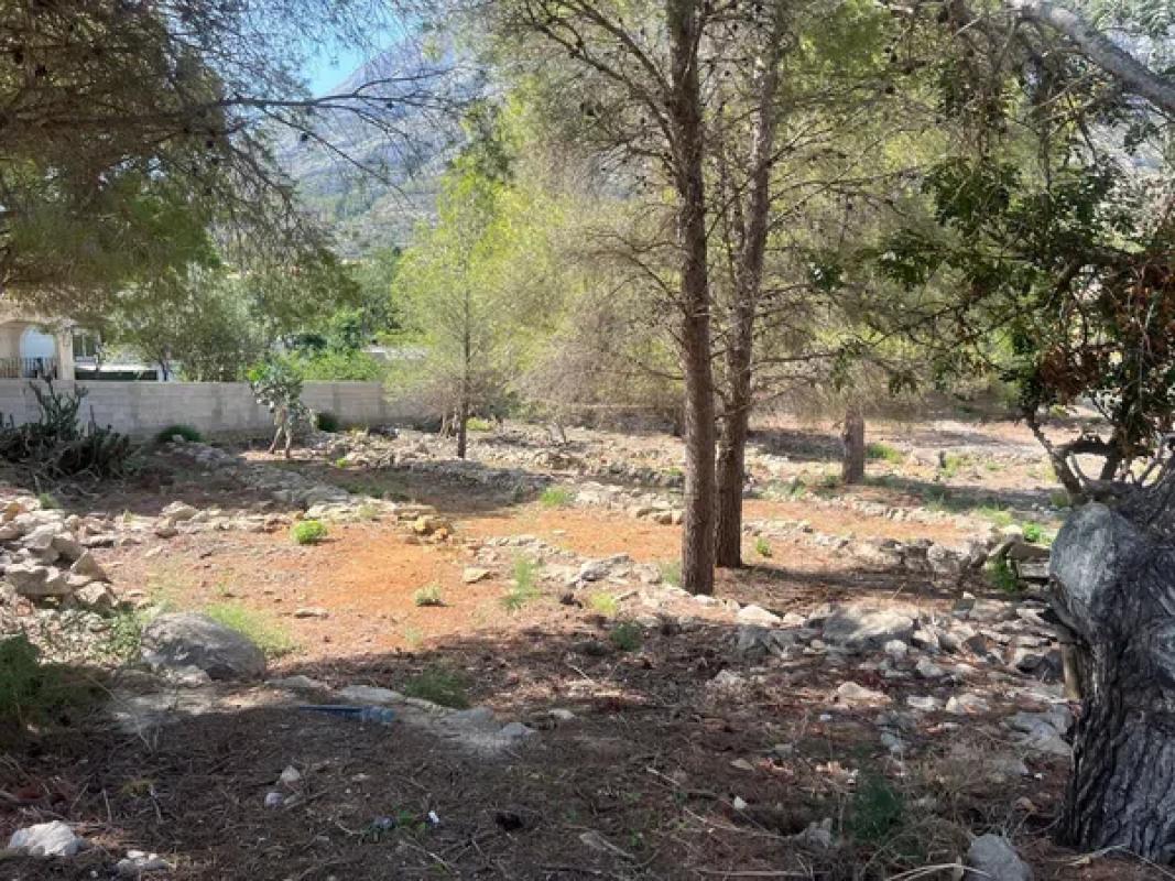 Terreno en venta en Denia, Alicante photo 3