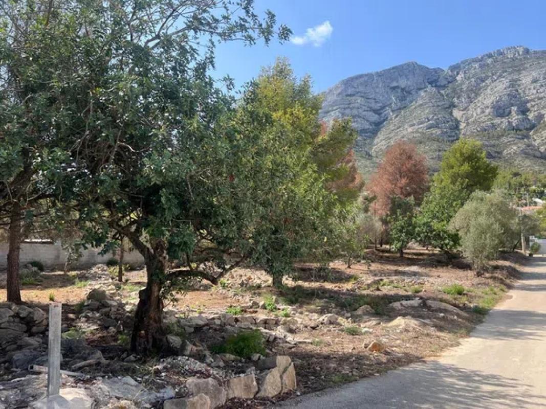 Terreno en venta en Denia, Alicante photo 4