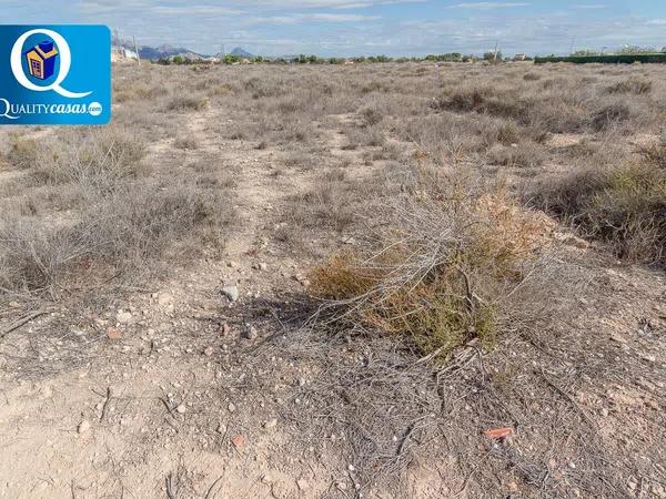 Terreno en Los Girasoles photo 4