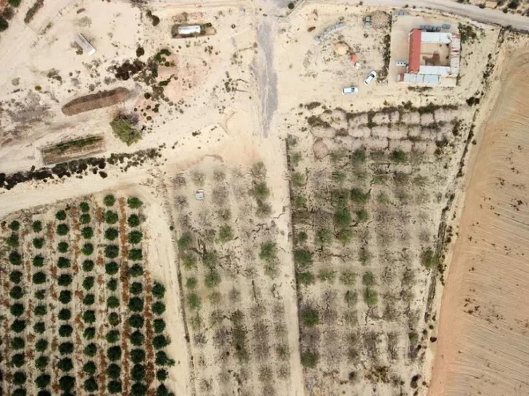 Terreno en venta en Orihuela, Alicante photo 4