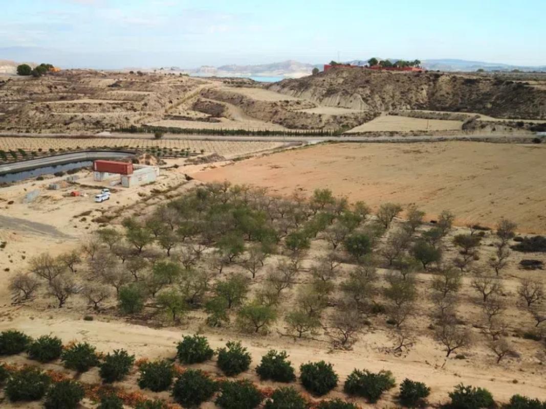 Terreno en venta en Orihuela, Alicante photo 5