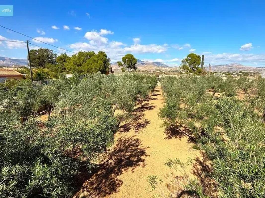 Land for sale in Fenollar Canyon, Alicante photo 2