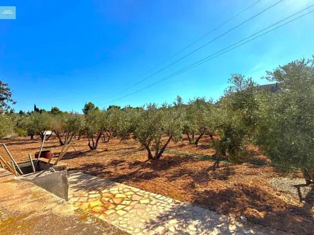 Land for sale in Fenollar Canyon, Alicante photo 4