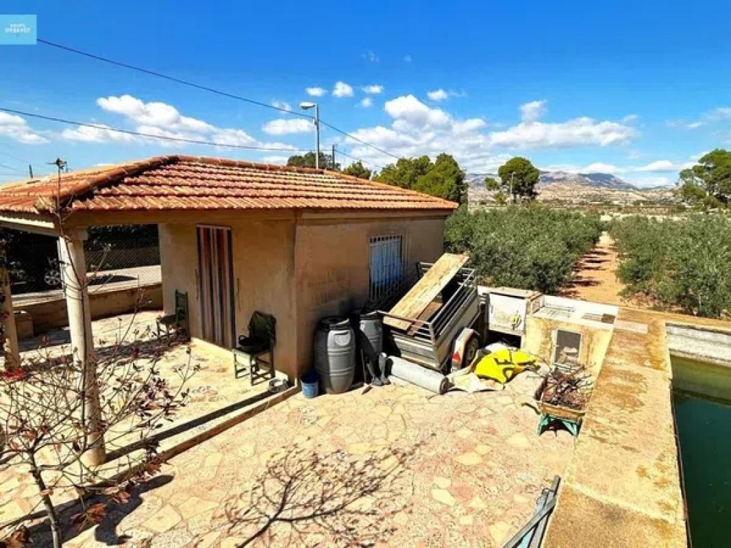 Land for sale in Fenollar Canyon, Alicante photo 5