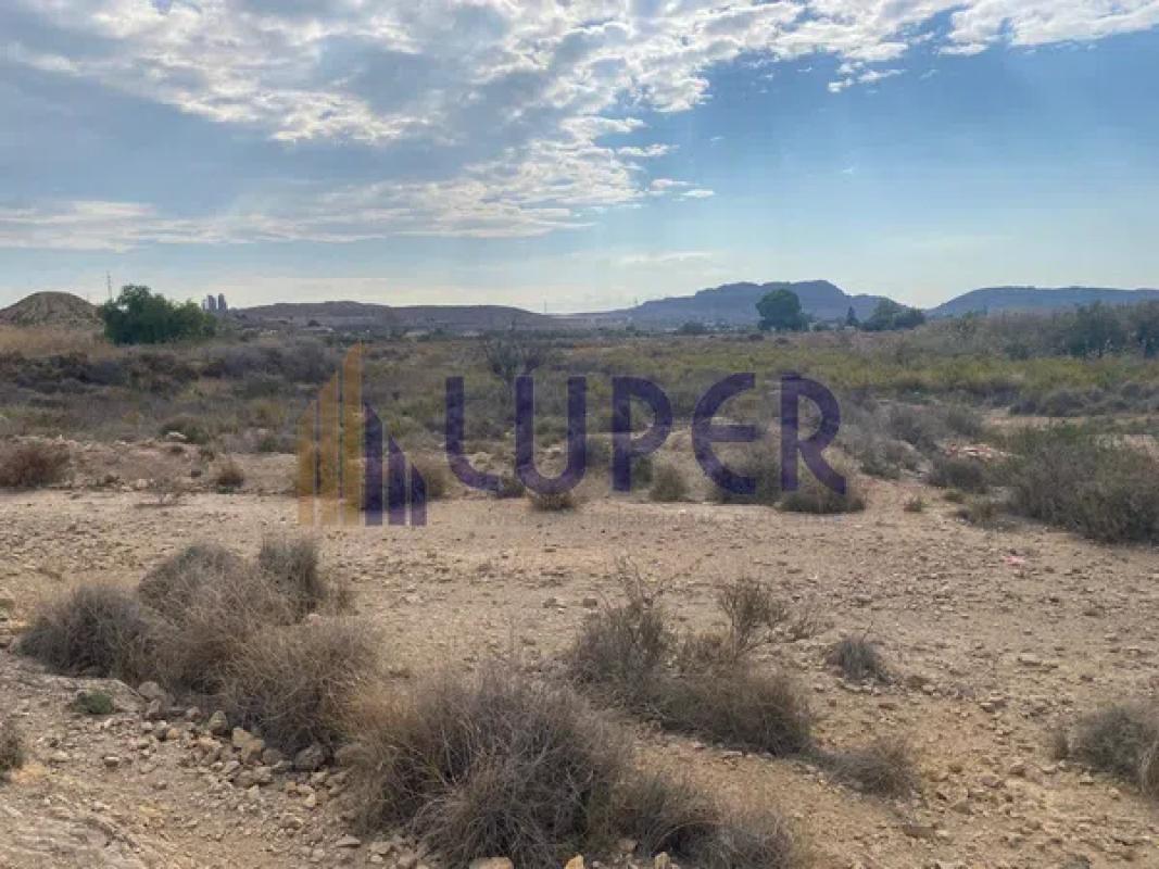 Land for sale in Elche / Elx, Alicante photo 1
