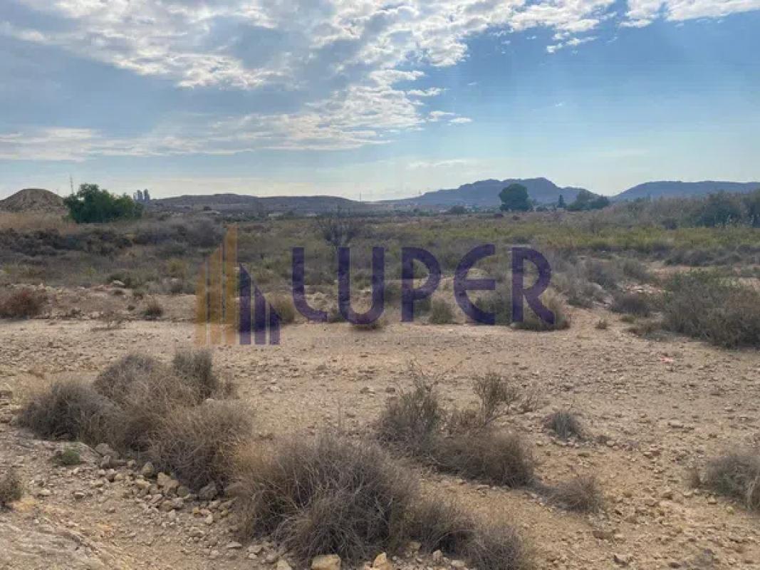 Land for sale in Elche / Elx, Alicante photo 2