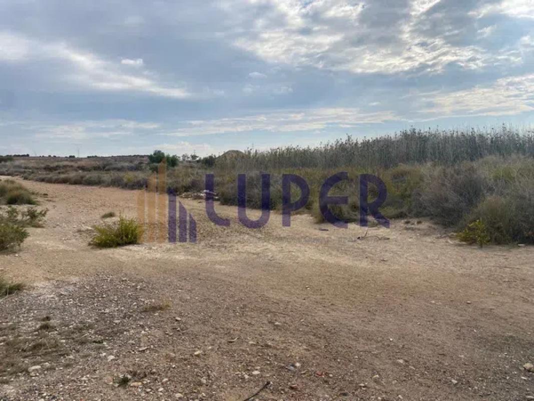 Land for sale in Elche / Elx, Alicante photo 3