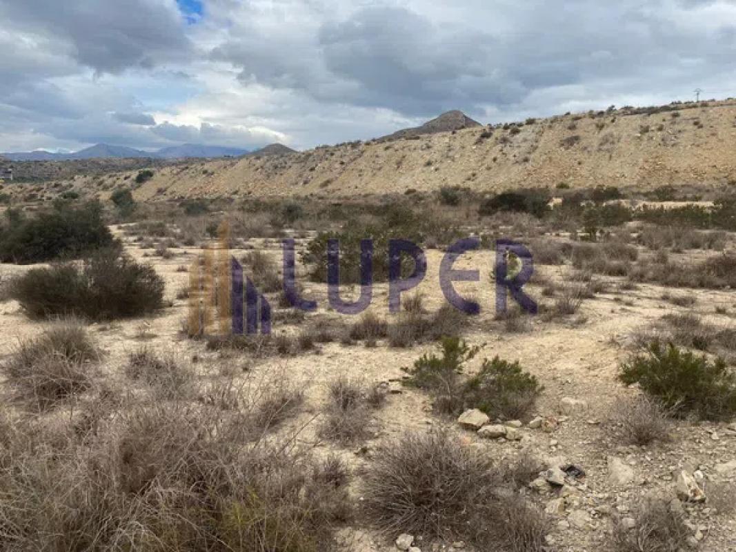 Land for sale in Elche / Elx, Alicante photo 4