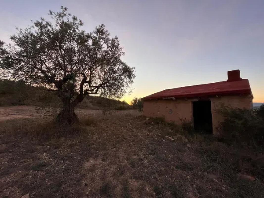 Terreno en venta en Villena, Alicante photo 2
