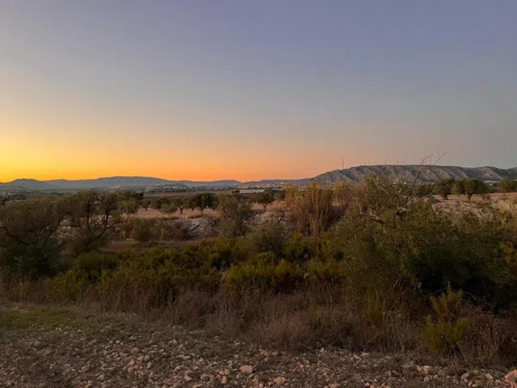 Terreno en venta en Villena, Alicante photo 3