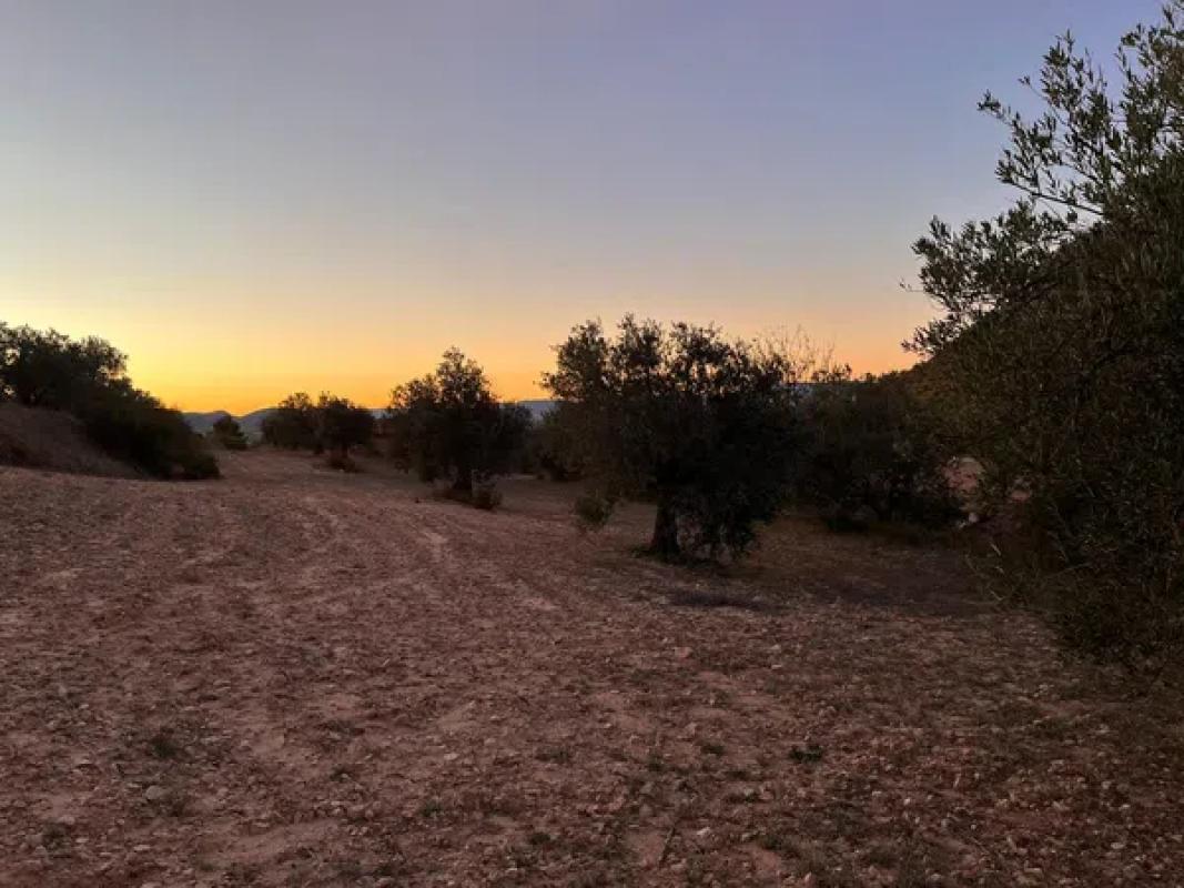 Terreno en venta en Villena, Alicante photo 5