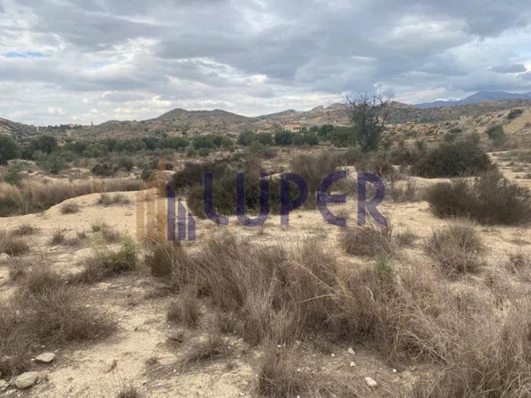 Terreno en venta en Mutxamel, Alicante photo 2