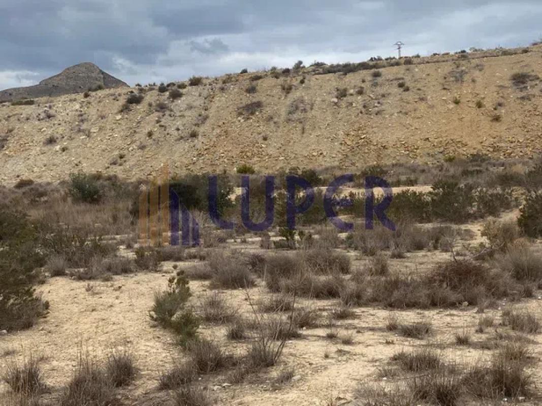 Terreno en venta en Mutxamel, Alicante photo 3