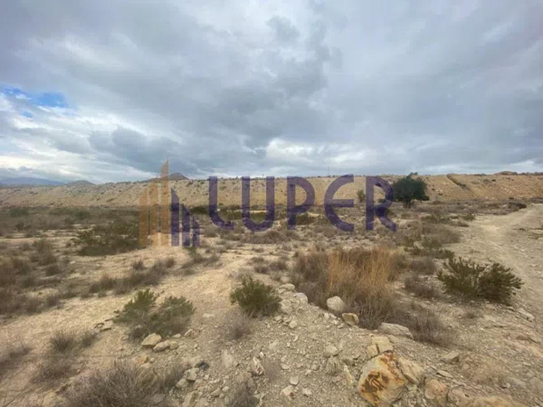 Terreno en venta en Mutxamel, Alicante photo 5