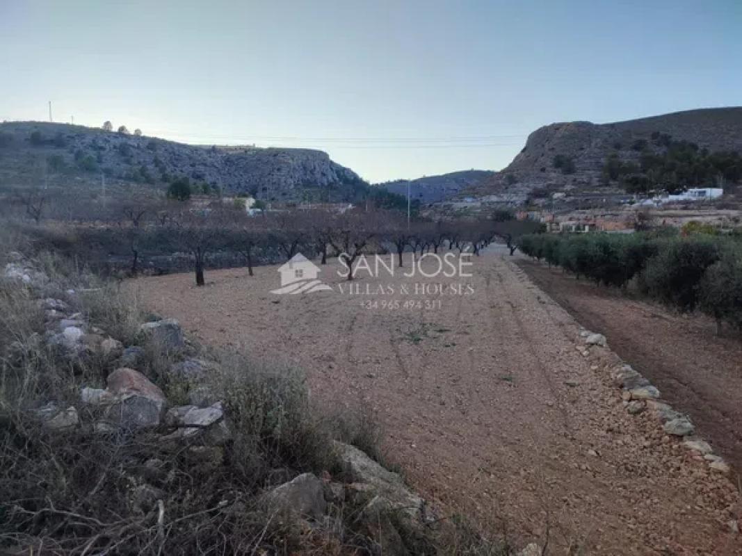 Terreno en venta en La Romana, Alicante photo 1