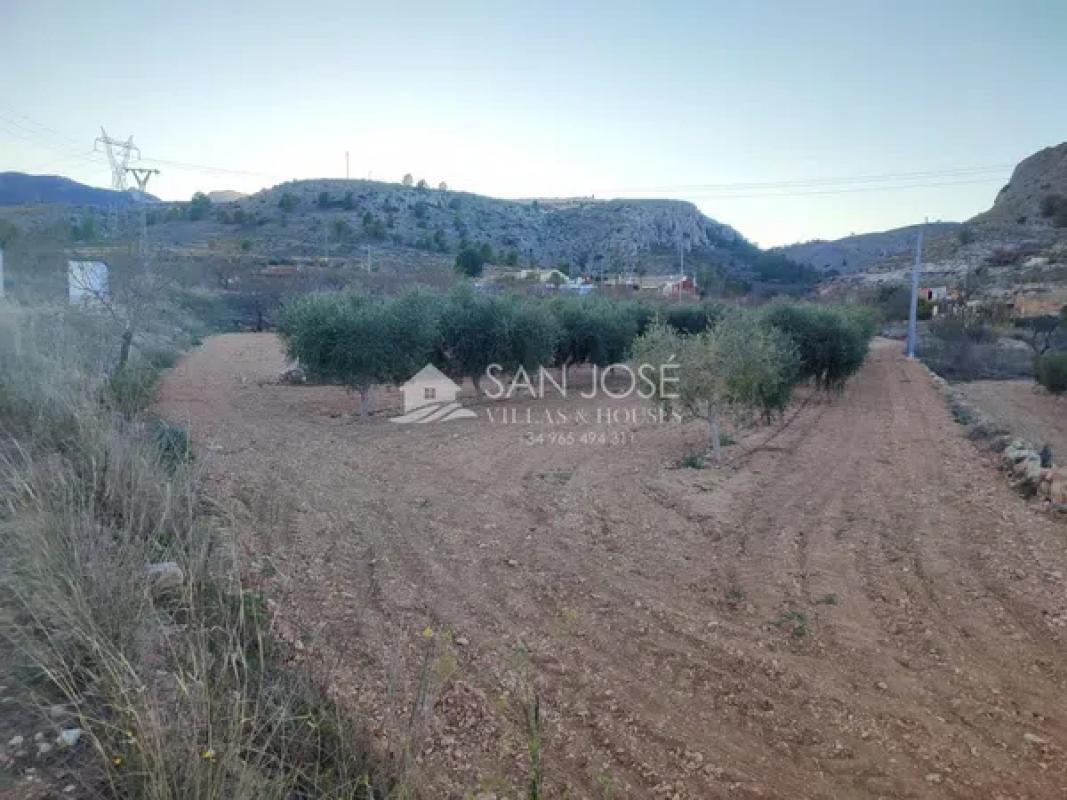 Terreno en venta en La Romana, Alicante photo 2