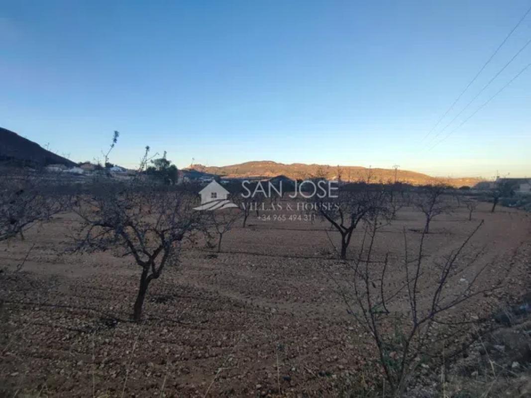 Terreno en venta en La Romana, Alicante photo 3