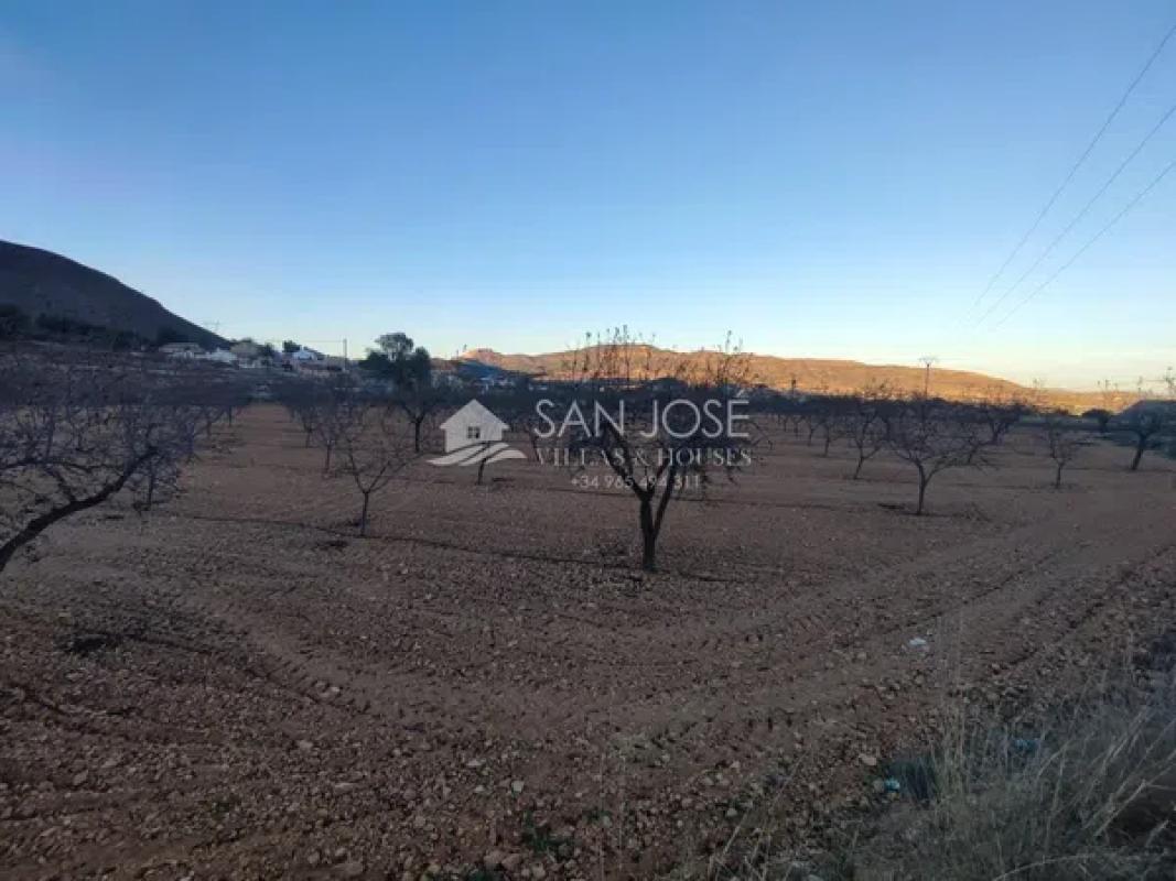 Terreno en venta en La Romana, Alicante photo 4