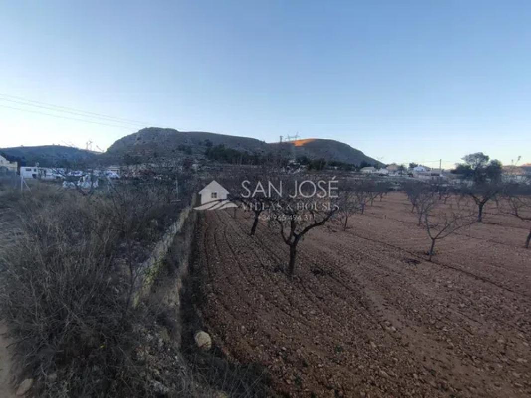 Terreno en venta en La Romana, Alicante photo 5